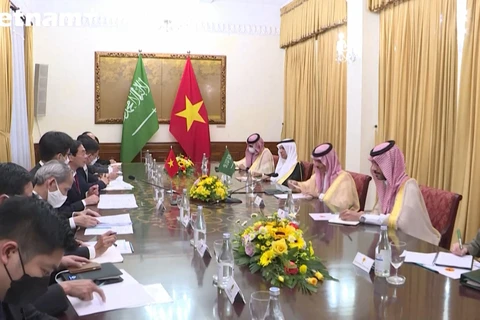 进一步促进越南与沙特阿拉伯合作关系