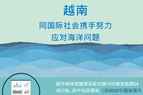 互动图表：越南同国际社会携手努力应对海洋问题