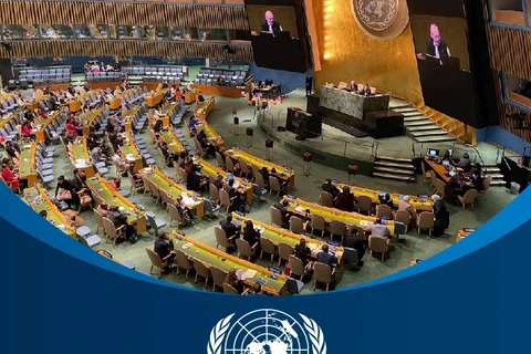 图表新闻：越南第二次当选联合国人权理事会成员国