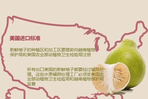 图表新闻：柚子是越南获准向美国市场出口的第７种水果