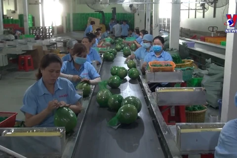 2022年是越南农产品“大获全胜”之年