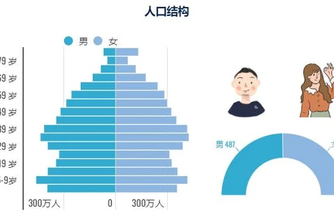 互动图表：越南人口规模和结构