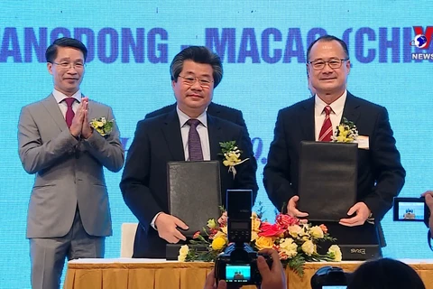 越南与香港-广东-澳门商业合作研讨会助力促进双方投资合作