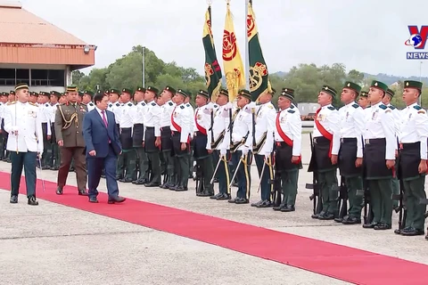 越南政府总理范明政开始对文莱进行正式访问