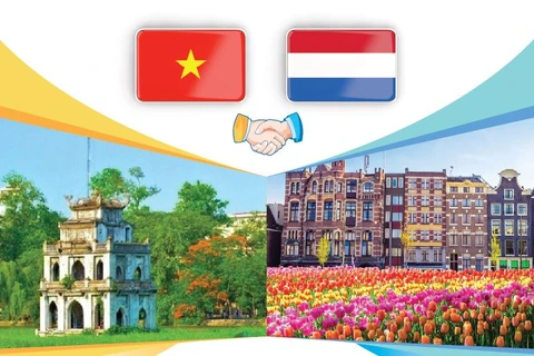 图表新闻：越南-荷兰全面伙伴关系