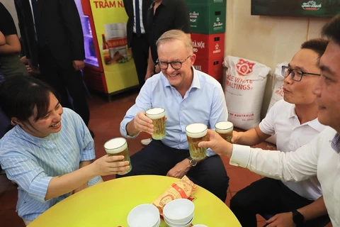 澳大利亚总理安东尼在河内古街品尝越南美食