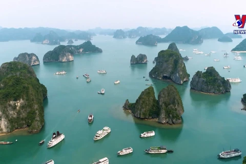 越南是韩国人2023年夏季旅游优先选择的目的地