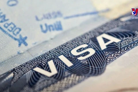 新签证政策成为旅游业发展的重要催化剂