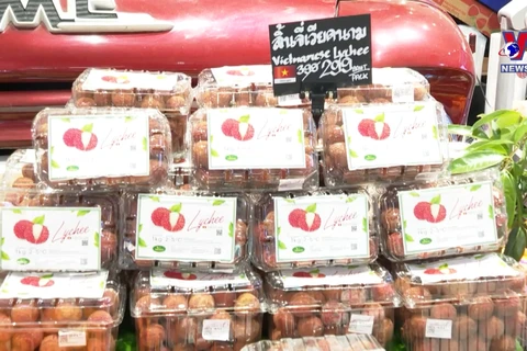 越南北江新鲜荔枝出现在泰国大型购物中心货架上