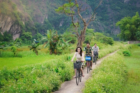 ​ 越南旅游复苏势头可喜