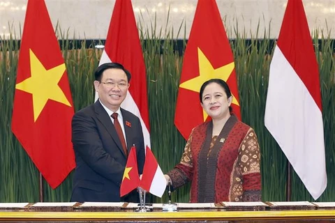 越南国会主席王廷惠与印尼国会议长普安举行会谈