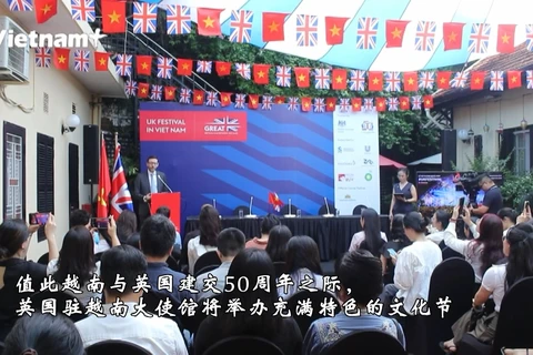 英国驻越大使对越英文化合作前景充满期待