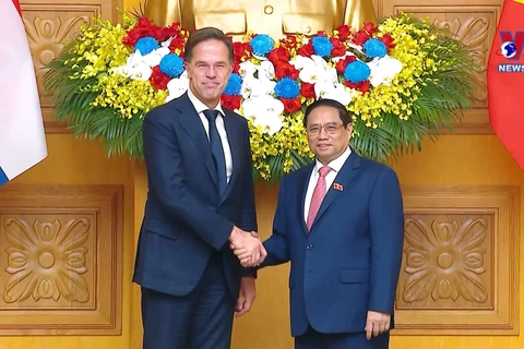 荷兰首相马克·吕特对越南进行正式访问 两天访问活动密集