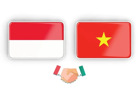 图表新闻：越南与印度尼西亚战略伙伴关系
