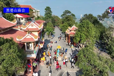 越南一些颇具特色的春节传统庙会