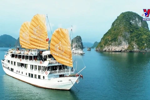 2024年第一季度越南接待国际游客460万人次