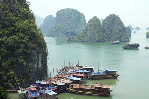 越南旅游部门多措并举充分挖掘海洋岛屿“金矿”