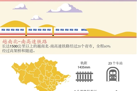 图表新闻：越南北-南高速铁路