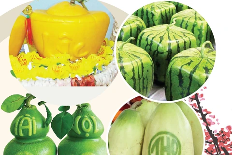 图表新闻：越南外形奇特的水果给春节增添色彩