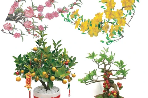 图表新闻：传统春节的代表性花木盆栽