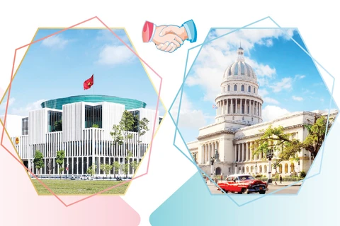 图表新闻：越南—古巴特殊传统合作关系