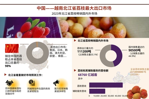 图表新闻：中国——越南北江省荔枝最大出口市场