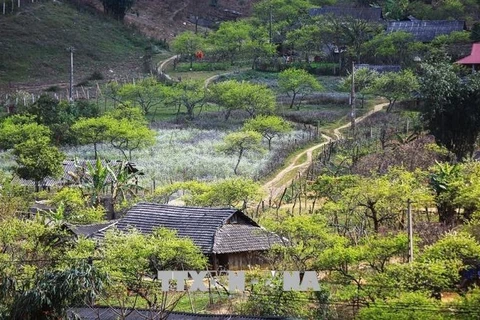 组图：木州高原美景诗情画意优美迷人