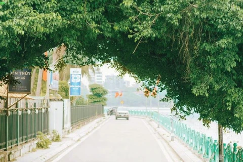 图表新闻：越南河内市西湖郡广安街入围2024年全球最酷街道榜