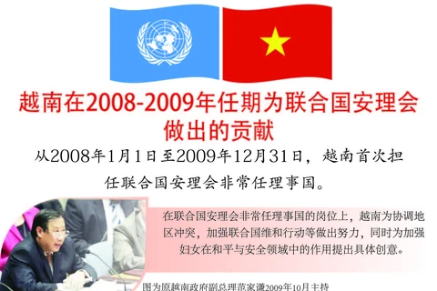 图表新闻：越南在2008-2009年任期为联合国安理会做出的贡献