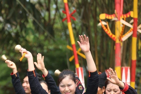热闹非凡的2019年4•19越南各民族文化日（组图）