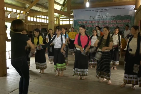清化省努力保护与弘扬傣族文化特色