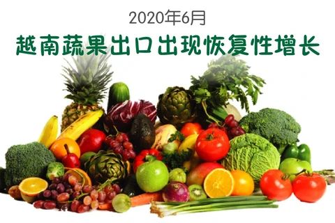 图表新闻：2020年6月越南蔬果出口出现恢复性增长