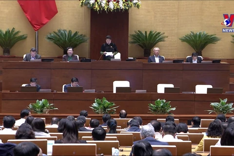 越南第十四届国会第十次会议：政府成员接受公开质询