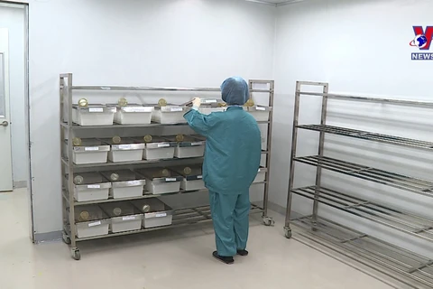 越南招募参加新冠疫苗第一阶段临床试验的志愿者