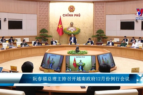 阮春福总理主持召开越南政府12月份例行会议