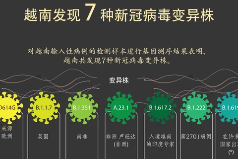 图表新闻：越南发现七种新冠病毒变异株