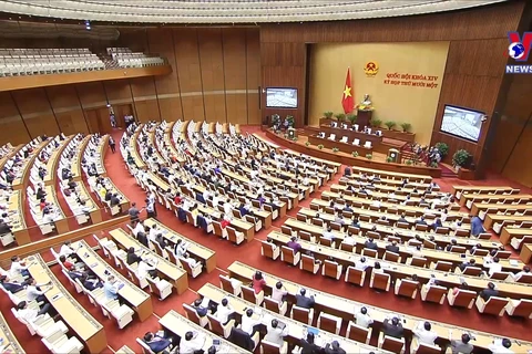 旅德越南知识分子对第十五届国会寄予厚望
