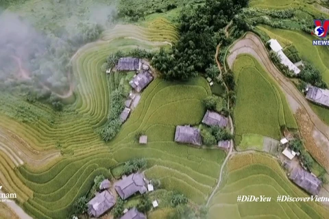 《越南：为爱而去》宣传片点击量达数百万人次