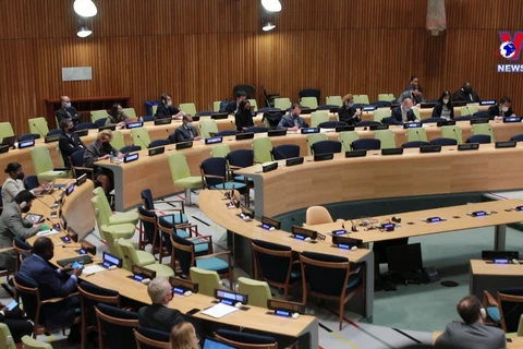 越南主持召开联合国安理会阿里亚模式会议