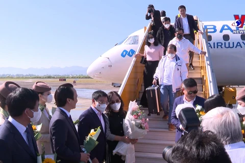 越南考虑自12月15日恢复常规国际航线