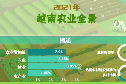 互动图表：2021年越南农业全景