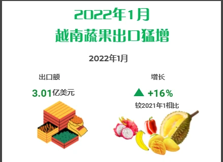 互动图表：2022年1月越南蔬果出口猛增