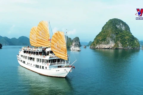 广宁省下龙市推荐多种海上新旅游产品