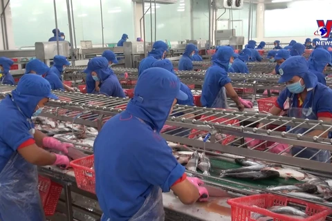 越南再添6家查鱼加工企业获准对美出口查鱼产品