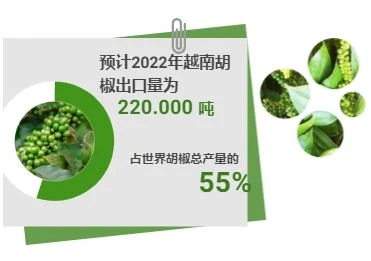 互动图表：越南稳居世界胡椒第一出口国