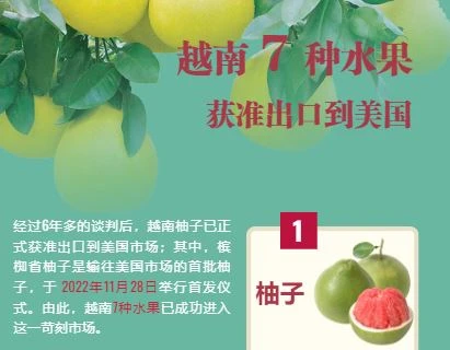 互动图表：越南7种水果 获准出口到美国