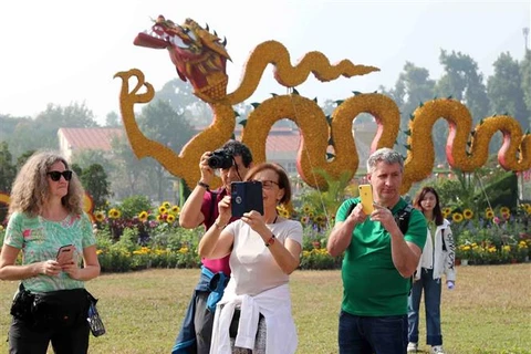 2023年1月越南接待外国游客87.1万人次 