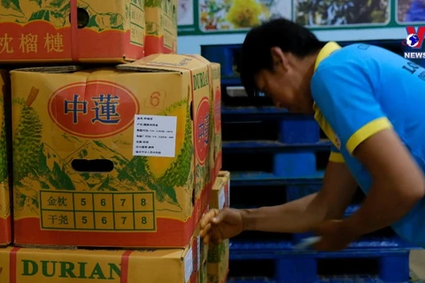 中国重新成为越南农林水产品出口最大市场