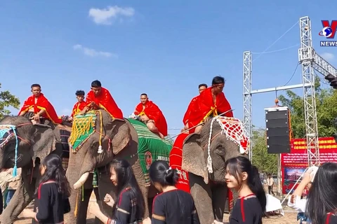 邦敦大象节推广大象友好型旅游