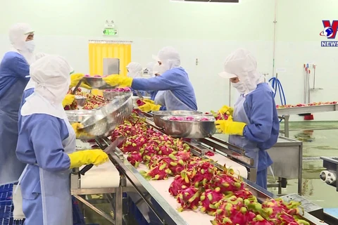 今年一季度越南蔬果出口额同比增加10.6%